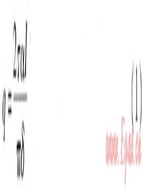 真空管太陽能集熱系統(tǒng)溫度場、速度場模擬