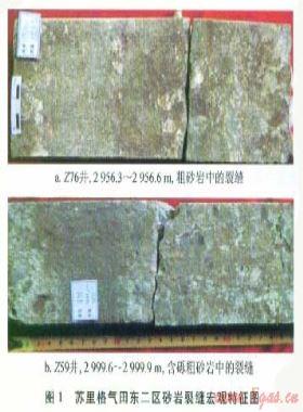 蘇里格氣田東二區(qū)致密砂巖儲層裂縫與含氣性的關(guān)系