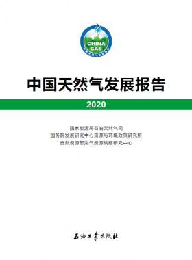 2020中國天然氣發(fā)展報告（含2017、2018、2019、2020）